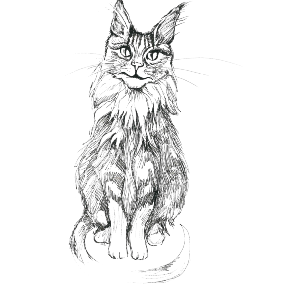 Kodu postkaart „viljandi kassid ilves"