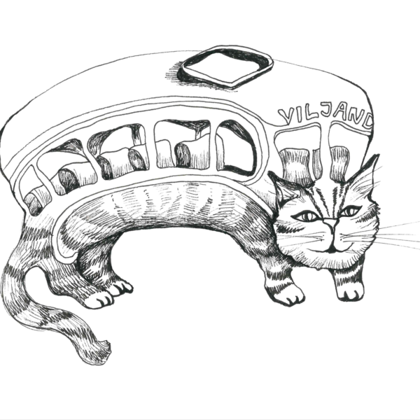 Kodu postkaart „viljandi kassid kassibuss"