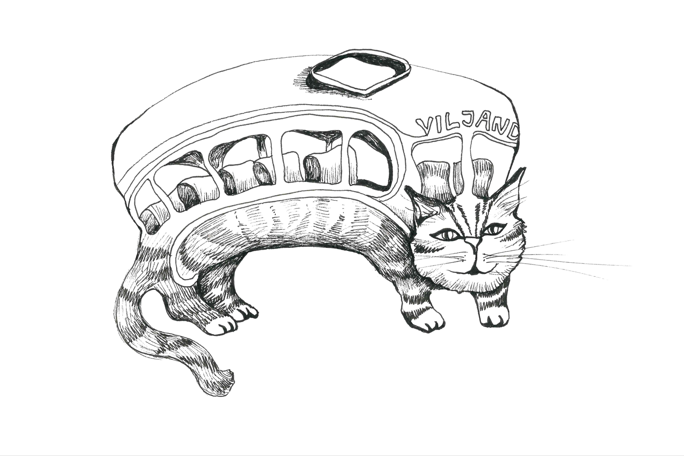 postkaart „viljandi kassid kassibuss" postkaart „viljandi kassid kassibuss"