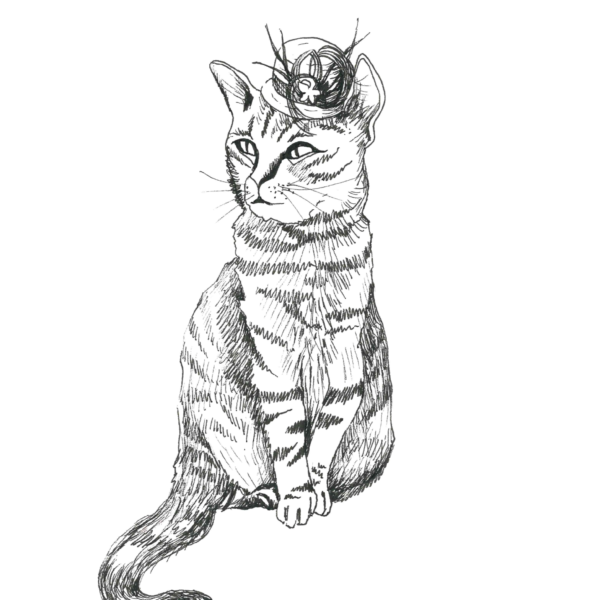 Kodu postkaart „viljandi kassid kybaraga"