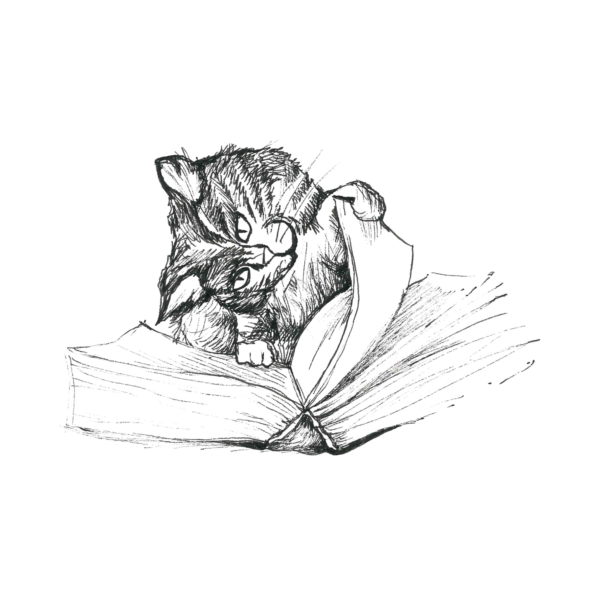 Kodu postkaart „viljandi kassid lugeja"