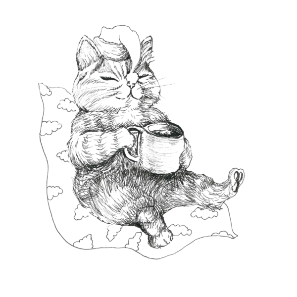 postkaart viljandi kass