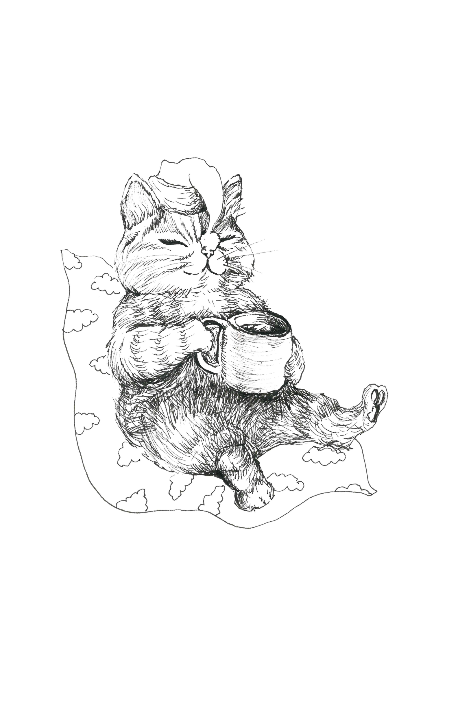 Postkaart Viljandi Kass Pikutaja postkaart viljandi kass