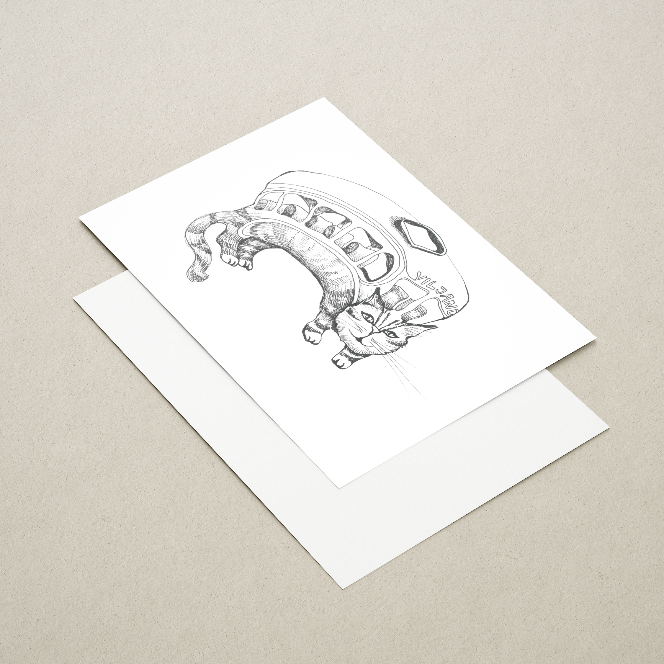 postkaart „viljandi kassid kassibuss" postkaart „viljandi kassid kassibuss"