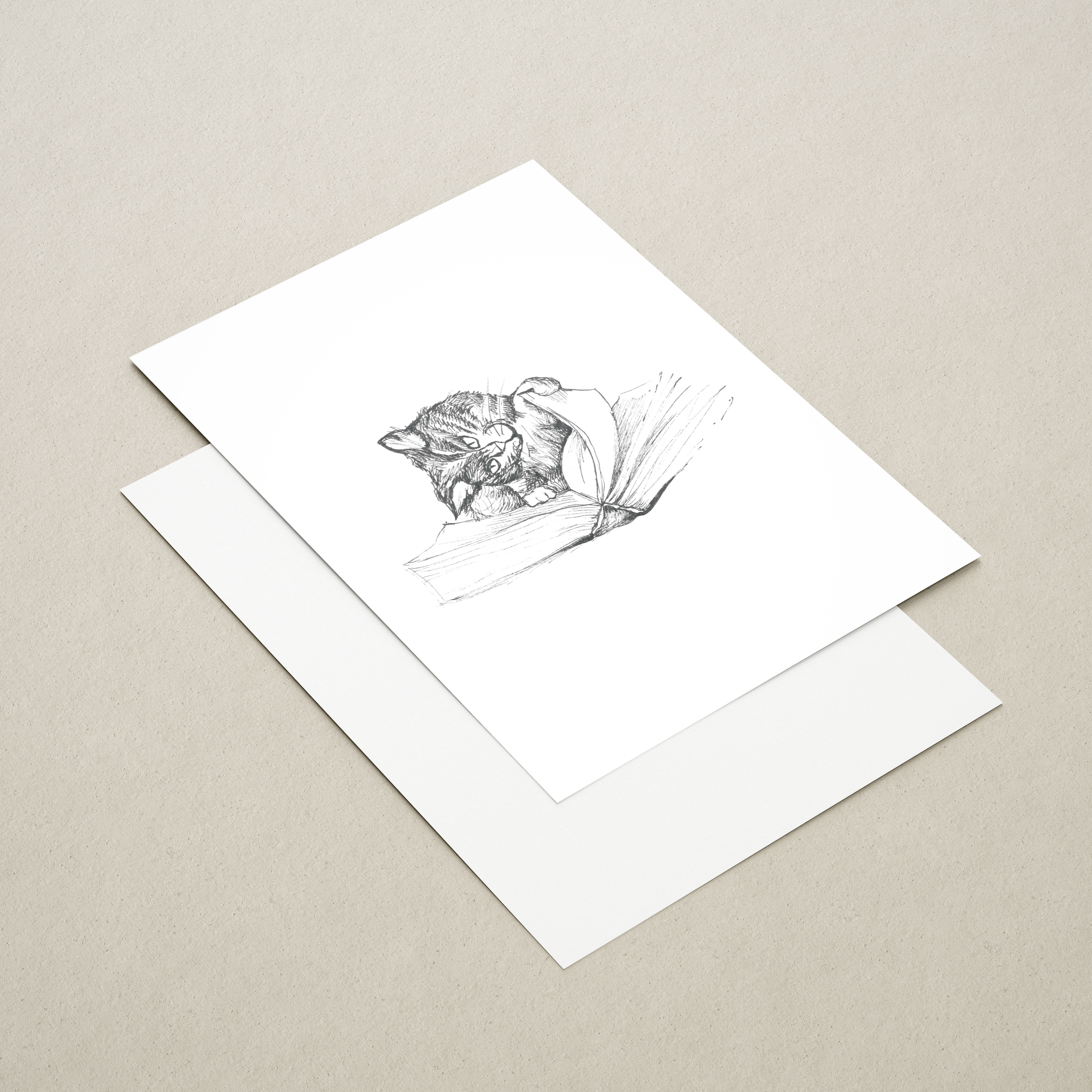 postkaart „viljandi kassid lugeja" postkaart „viljandi kassid lugeja"